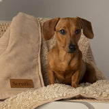 Scruffs Snuggle Blanket Desert Sand 110x73cm - British product