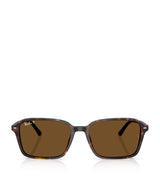 Harrods Ray-Ban RB2231 Raimond Sunglasses- Buy online at McGrocer