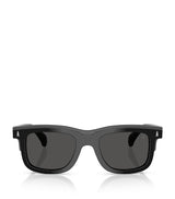 Harrods Moncler Acetate Claro ME6004 Sunglasses- Buy online at McGrocer
