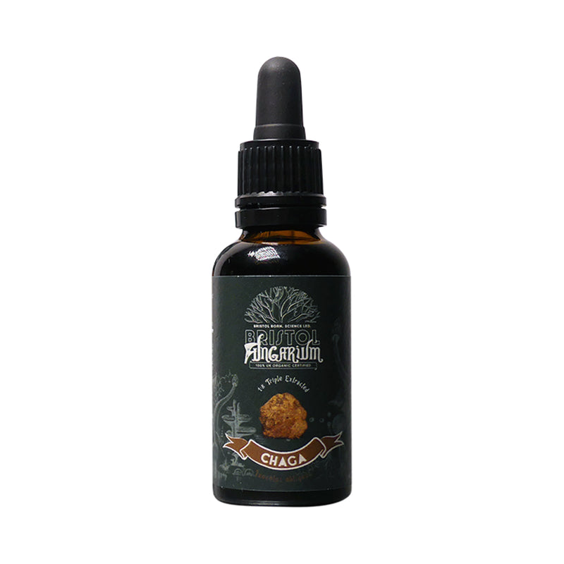 Bristol Fungarium Chaga Tincture Triple Extract 30ml - British product