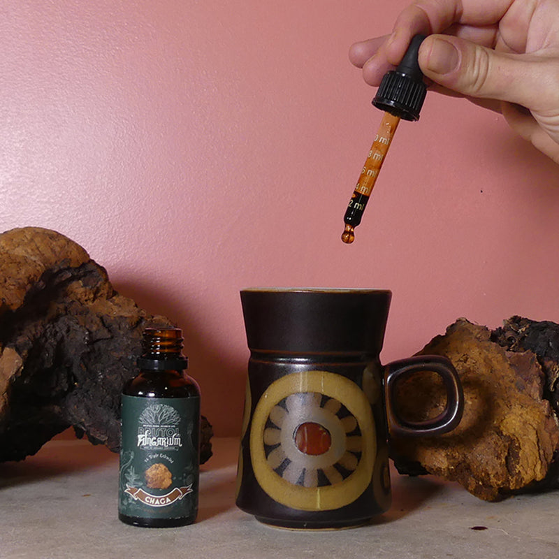 Bristol Fungarium Chaga Tincture Triple Extract 30ml - British product