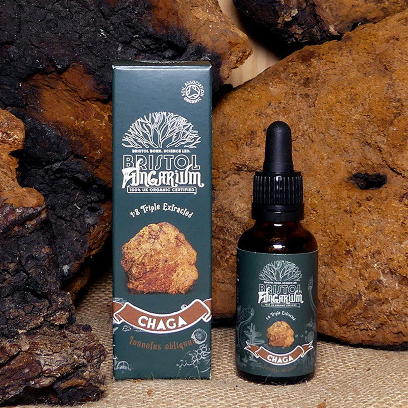 Bristol Fungarium Chaga Tincture Triple Extract 30ml - British product
