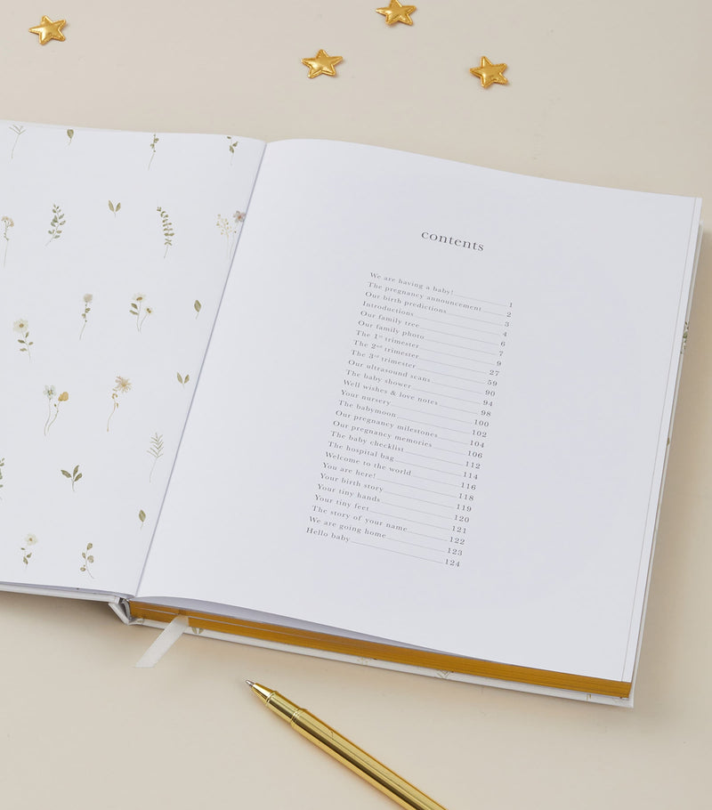Blush and Gold pregnancy journal - British product