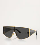 Dolce&Gabbana acetate sunglasses DG2305, UK version