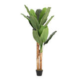 Superdrug Livingandhome Artificial Potted Banana Tree 150cm- Buy online at McGrocer