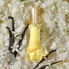 Giorgio Beverly Hills Yellow Eau de Toilette 90ml, UK version