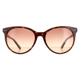 Calvin Klein CK18509S tortoise sunglasses - British product