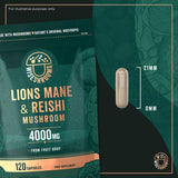 Wiseshrooms Lions Mane and Reishi mushroom supplement 120 capsules, UK version