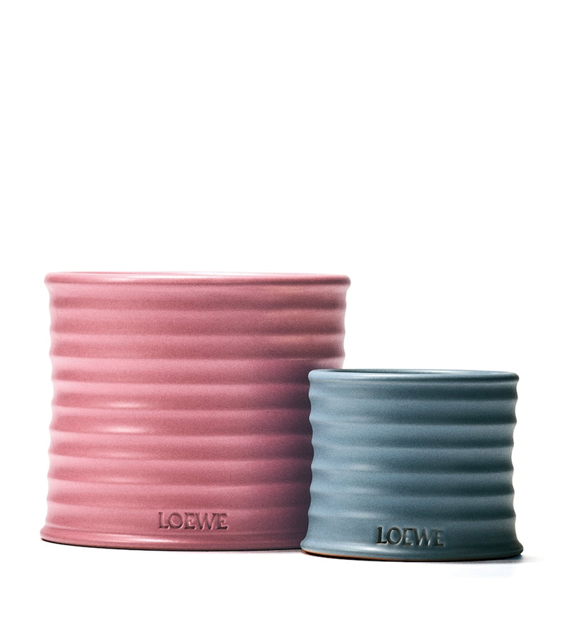 LOEWE small cypress balls scented candle 170g, UK version