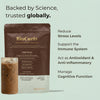 Bionutrica BioCuria mushroom coffee supplement 240g, imported from the UK