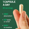 PharmaZen Moringa Leaf Extract 2000mg 60 capsules - British product