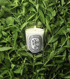 Diptyque Verveine candle 190g (British brand)