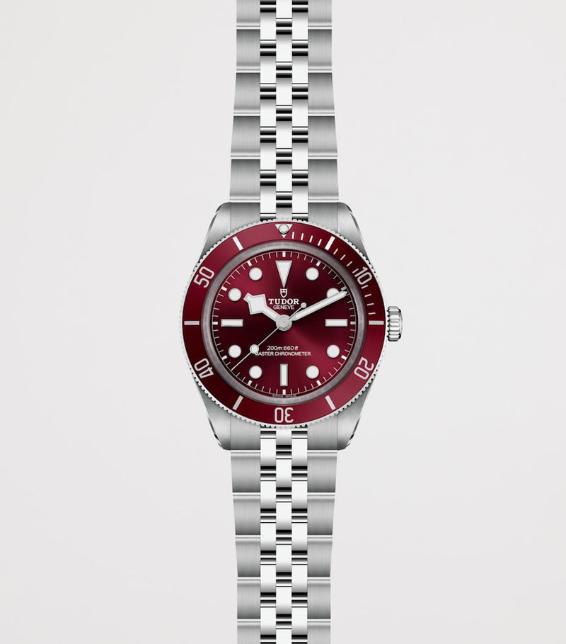 TUDOR Black Bay 58 watch 39mm (British brand)