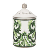 Harrods Dolce&Gabbana Casa Sicilian Neroli and Lemon Scented Candle 340g- Buy online at McGrocer