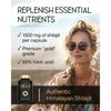 SuperSelf Himalayan shilajit supplement 60 capsules - British product