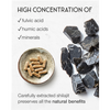 SuperSelf Himalayan shilajit supplement 60 capsules - British product