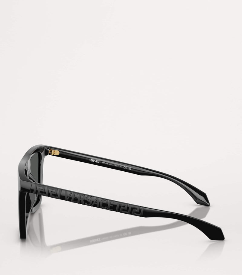 Versace acetate sunglasses VE4468U (British brand)