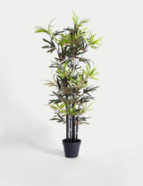 M&S BLOOMA 4ft Artificial Black Stem Bamboo Plant in Pot- Buy online at McGrocer