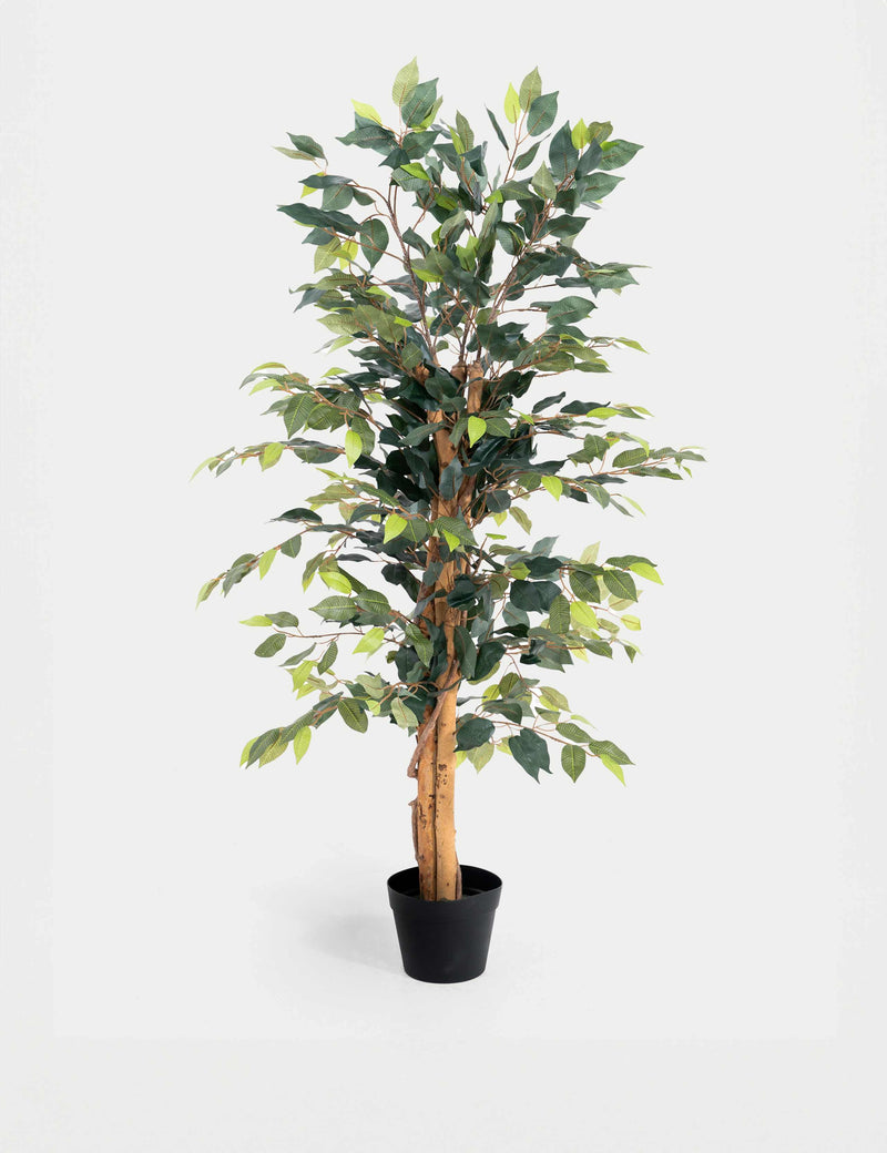 Blooming Artificial 4ft artificial ficus tree in pot, imported from the UK