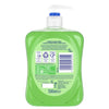 Carex Aloe Vera Antibacterial Hand Wash 500ml - British product