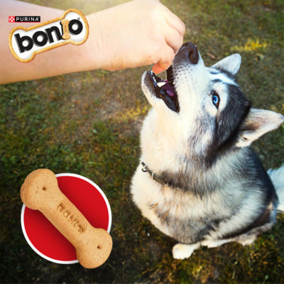 Bonio Original dog biscuits 650g - British product