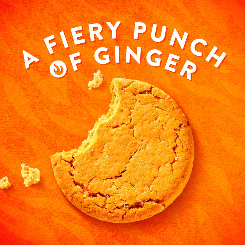 McVitie's Ginger Nuts biscuits 250g (British brand)