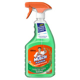 ASDA Mr Muscle Platinum Window & Glass Cleaner 750ml- Buy online at McGrocer