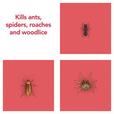 Raid Ant & Cockroach Insect Killer Aerosol Spray 300ml