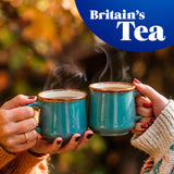 Tetley zingy lemon and ginger herbal tea bags x20 (British brand)