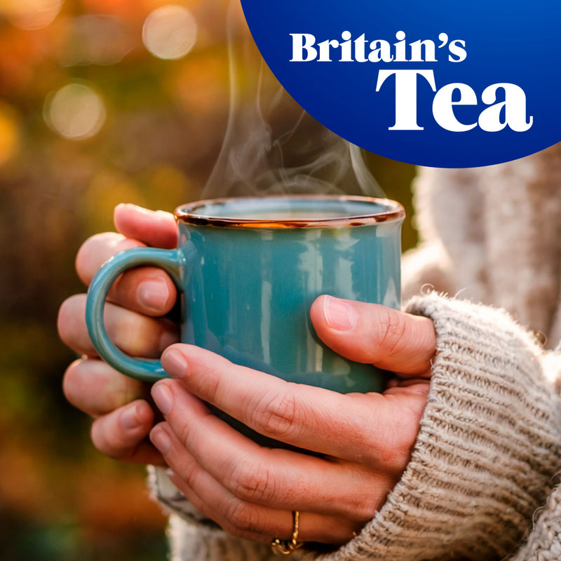Tetley Original Tea Bags 750g (British brand)