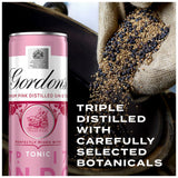 Gordon's Premium Pink Gin & Tonic 250ml can, UK version