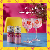 Gordon's Premium Pink Gin & Lemonade 250ml can, UK version