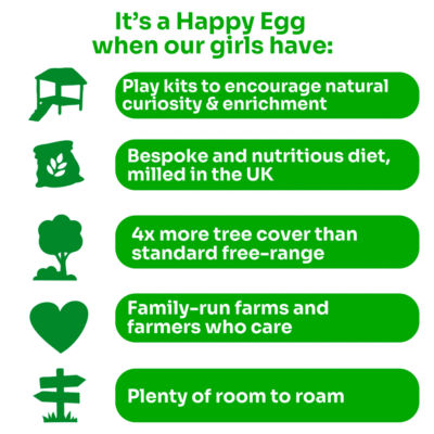 Happy Egg Co free range 10 large eggs (British brand)