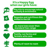 Happy Egg Co free range 10 large eggs (British brand)