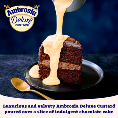 Ambrosia Deluxe Vanilla Custard 400g can - British product