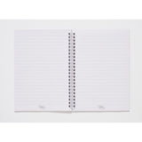 Mr Fothergills Seeds - Oh Sow Simple Aster Mix