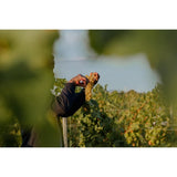 G de Galoupet Organic Provence Rose