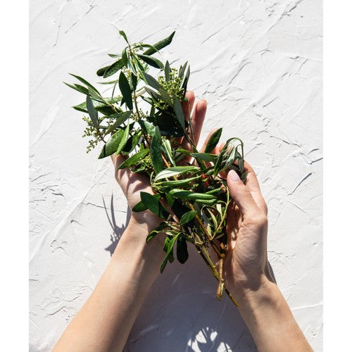 Korres Honey Pear Pure Greek Olive Shower Gel