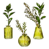 Sass Belle Olive Green Glass Bud Vases