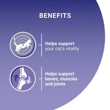 Purina One Mini Fillets Mixed Selection in Gravy Wet Cat Food