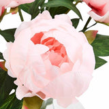 M&S Moss & Sweetpea Peony Arrangement in Scallop Vase, Pink