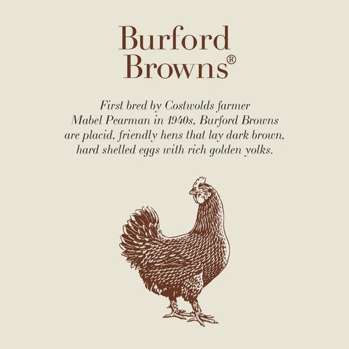 Clarence Court Burford Brown free range eggs 6 large - British product