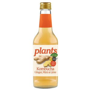 Plants Ginger and Mint Kombucha