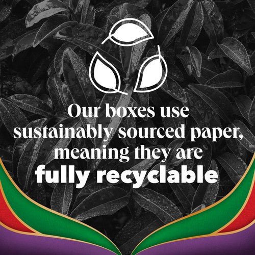 PG Tips Earl Grey Light Citrusy Plant Based Biodegradable Tea Bags