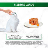 Gourmet wet cat food chicken 85g, UK version