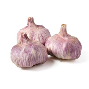 Purple Garlic Heads - Spanish Hardneck Variety