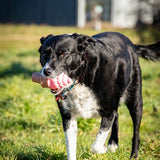 Rosewood Fill N Freeze Icecream For Dogs