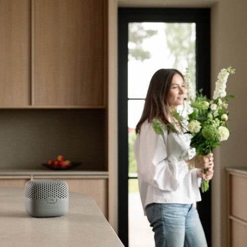 Absodry Series 3 Moisture Absorber Forest Green