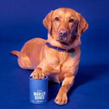 Marleybones Dental Supplement Chew