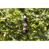 Henry Westons Organic Cider